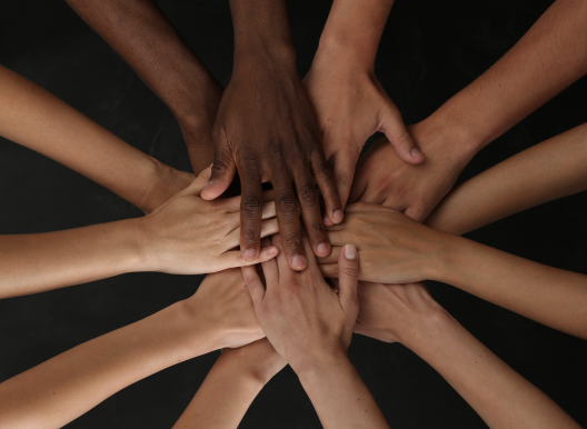 Screenshot 2026-01-28 at 15.33.52